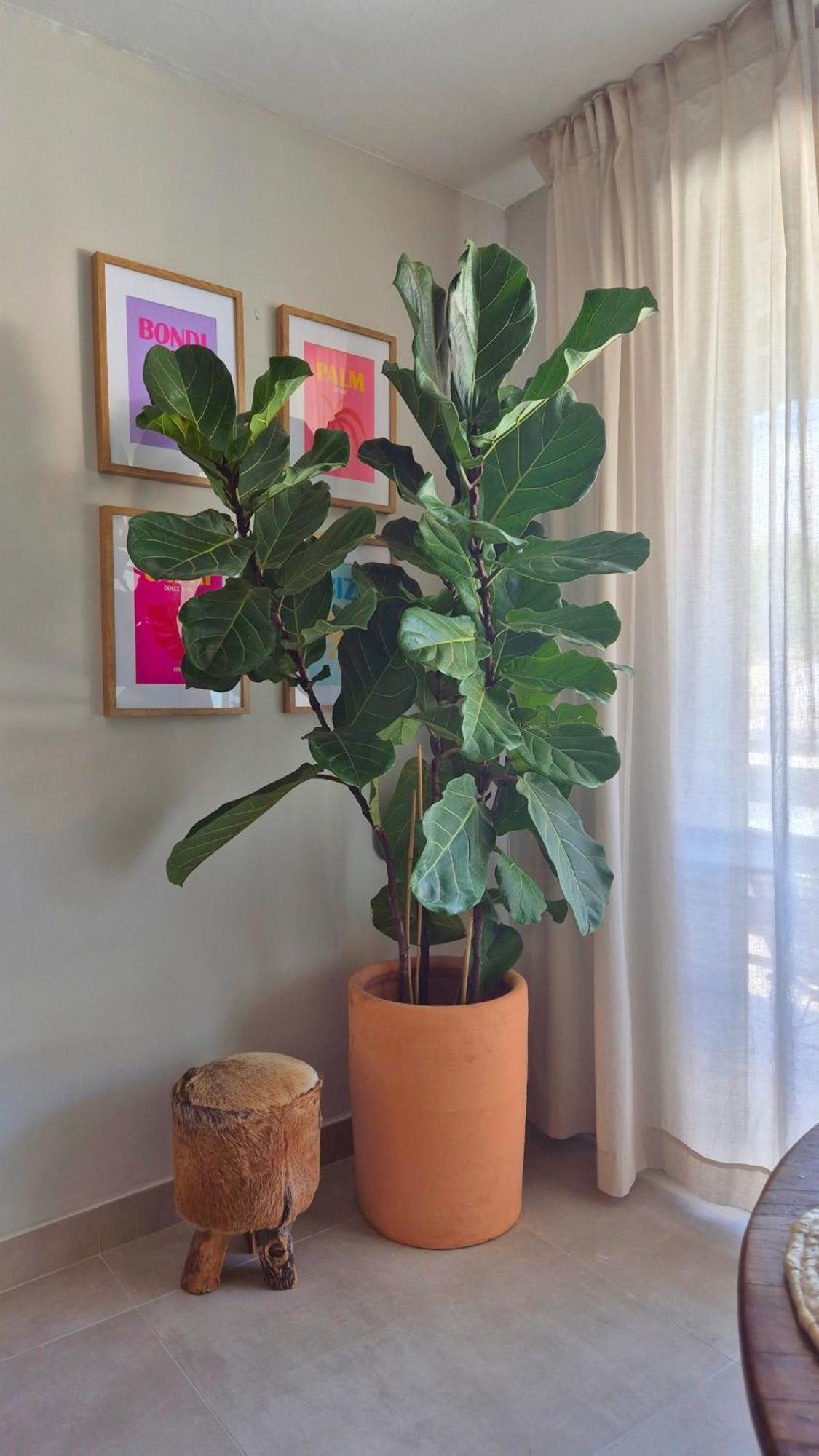 Jávea La Casita Bonita - 30M From The Arenal Beach - Private Parking מראה חיצוני תמונה